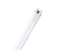 Sylvania Neon T8 Grolux 18 W/60 cm (unità)