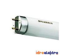 Sylvania tubo fluorescente Triphosphorous F36 W/865, tube fluorescent, tubolare