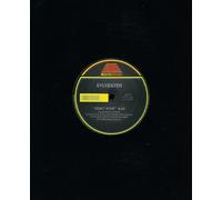 Sylvester - Do You Wanna Funk: Don't Stop