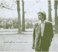 SYLVIAN DAVID - Brilliant Trees-Remastered