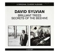Sylvian, David - Classic Albums
