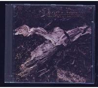 Sylvian,David - Plight & Premonition