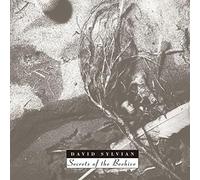 Sylvian, David - Secrets Of The Beehive