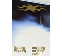 Sylvie Fleury: My Life on the Road