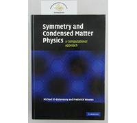 Symmetry and Condensed Matter Physics: A Computational Approach