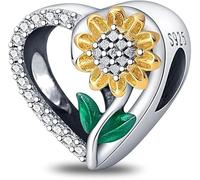 Symretie Ciondolo charm in argento 925 puro, compatibile con bracciali e collari della marca Pandora e di stile europeo. Adatto a donne e ragazze.