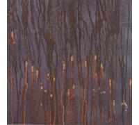 Synapscape - Scenes from a Galtons Walk