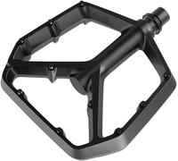Syncros Squamish Ii Pedals Argento