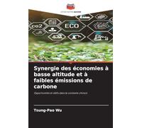 Synergie des économies à basse altitude et à faibles émissions de carbone: Opportunités et défis dans le contexte chinois