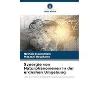 Synergie von Naturphänomenen in der erdnahen Umgebung: über ein Prisma des MaLAIM-Kopplungsmechanismus