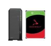 Synology DiskStation DS124 NAS 1 GB di RAM + 1 disco rigido Seagate IronWolf da 2 TB