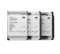 Synology HAS5300-12T