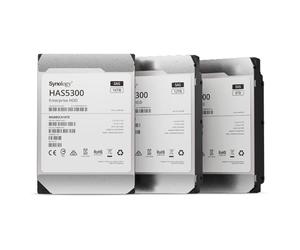 Synology HAS5300 16TB 3.5 Zoll SAS 12Gb/s - interne Festplatte (HAS5300-16T)