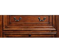 SYNTILOR - CERA LIQUIDA INCERANTE ALLA CERA D'API 0,5 LT ROVERE DORATO