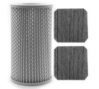 SYOWADA 1 filtro PECO e 2 pre-filtri di ricambio per purificatore d'aria Molekule