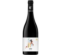 Syrah 2025 - Flores Pays d'Oc