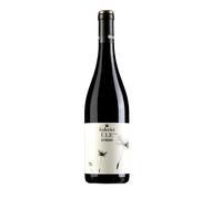 Syrah Lazio Rosso IGP Ùle 2024 - Federici 0.75 lt