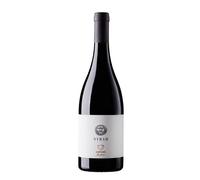 Syrah Le Anfore di Elena Casadei 2023