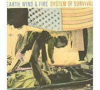 System Of Survival