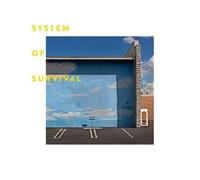 System Of Survival - Needle and Thread