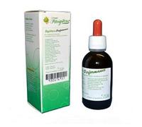 System Performance Integratore In Gocce Stanchezza Fisica 50 ml