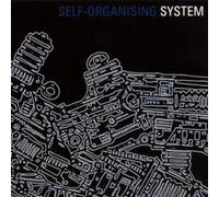System - Self-Organising System