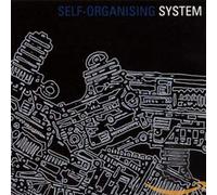 System - Self-Organising System