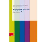 Systemische Beratung in Funf Gangen: 25 Praxiskarten