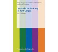 Systemische Beratung in Funf Gangen: Ein Leitfaden