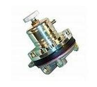 Sytec 1:1 Regolabile Motorsport Regolatore Pressione Caburante (Silver) MSV000S