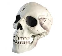 SYTTNUM Decorazioni Di Halloween Con Teschio,Statua Di Teschio,1:1 Dimensioni Di Vita Scheletro Teschio Umano Modello Di Plastica,Scheletro Figure Scultura Realistica Testa Umana Ossa