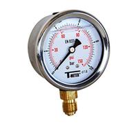 Syveco 1613010 Serie 1613 - Cassa in acciaio inossidabile, indicatore di pressione, per bagno, radiale, 1/4", BSP, 63 mm di diametro, 0/60 bar