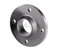 Syveco 2105025 Serie 2105 BW Weld Flangia in acciaio forgiato, eccellente portata, tipo 11/B1 RF, PN40, EN1092-1, M25