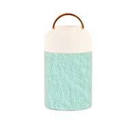 SyXIOP Vaso verde dell'alimento dell'acciaio inossidabile isolato sottovuoto dell'acciaio inossidabile con il cucchiaio per la pasta del bambino 17oz