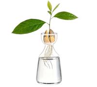 Syzplnwy Vaso per avocado: vetro borosilicato per germinazione dei semi e idroponica, sicuro per l'acqua salata, con bordi lucidi, decorazione compatta per casa/ufficio (donna)