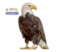 szaluyk Personalizza Gli | Owl spaventapasseri Decorazione per | deterrente Impermeabile Appeso per Balcone, terrazza, Giardino | Finto Gufo Ornamento per Il Controllo degli e