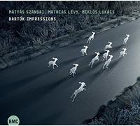 SZANDAI MATYAS & LEVY MAT - BARTOK IMPRESSIONS