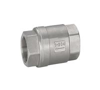 SZBTQMUW Valvola di ritegno a Molla in Linea a Femmina Non Ritorno unidirezionale a 2 Pezzi DN6/DN10/DN15/DN20/DN25(C,DN20)