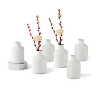 Sziqiqi Vasi per Steli Bianco Piccolo: Piccoli Vaso per Fiori Secchi Artificiali Set of 6 Vaso Nordico In Metallo per Soggiorno Vasi Cilindrico Minimalista per Centrotavola Da Matrimonio Natale