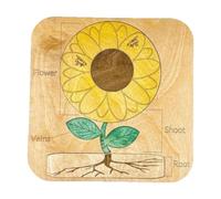 SZLIFE Puzzle Puzzle per Il Puzzle di Girasole in Legno, di apprendimento delle Radici Giocattolo di apprendimento del Puzzle per i Colori,