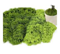 Sztqqing 160 g, muschio artificiale da decorare, muschio artificiale per il fai da te, muschio artificiale, per la parete, presepe acquario, muschio, modellismo, verde scuro, 80 g + verde chiaro, 80 G