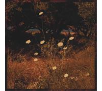 Szun Waves Earth Patterns (Vinyl LP) 12" Album