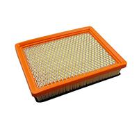 Szwaldaper Car Engine Air Filter, for Cadillac, for Chevrolet | for Opel, Seville LH2 Seville Hatchback XLR 2005-2007 for Corvette 6.0L 2005-2009 25099149 5495251