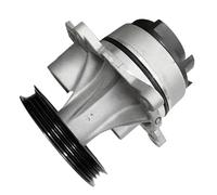 Szwaldaper Jb3q8501ac Pompe dell'Acqua del di Raffreddamento del Motore, for Ford, Ranger T6 2.0 2019 2023 Jb3z8501b 2618160 Parti durevoli per Tosaerba