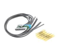 Szwaldaper Resistenza motore ventilatore anteriore, for Chevrolet 1996-2012 Express 1500 2500 3500 89018770 22941007 89018537 Sostituzione del resistore del motore del ventilatore dell'auto(Plug)