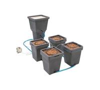 T.A by GHE - Kit Waterpack-as | 4 Piante Idroponiche