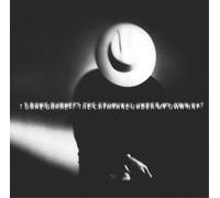 Burnette T-Bone - Criminal Under My Hat