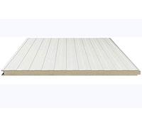 T.E.G. METALLI S.R.L. Pannelli Sandwich Isopar Coibentati Isolanti Larghezza 1 Metro per Parete (2, 30)