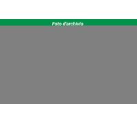 T-FC556E-K TOSHIBA e-STUDIO 7506AC series Cartuccia del Toner Nero