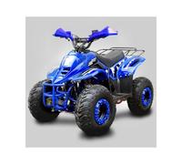 T-MOTO Mini Quad a Benzina 125cc 4 Tempi per Bambini e Ragazzi - Accensione Elettrica, Monocilindrico, Fuoripista, Ruota 6' Cross (Blu)